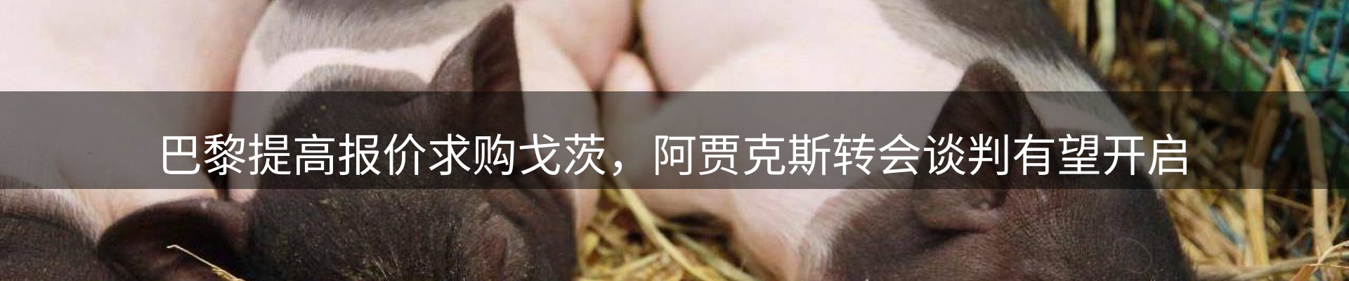 资讯动态