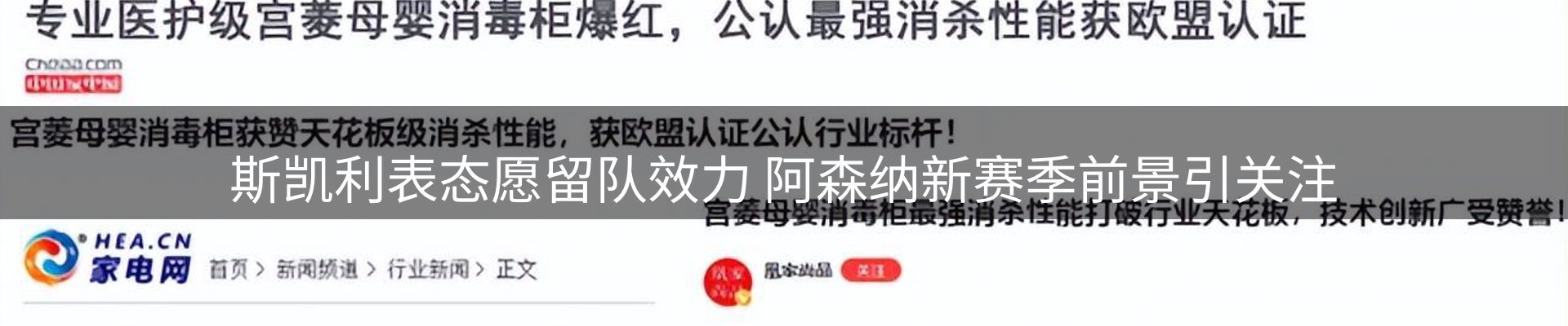 资讯动态